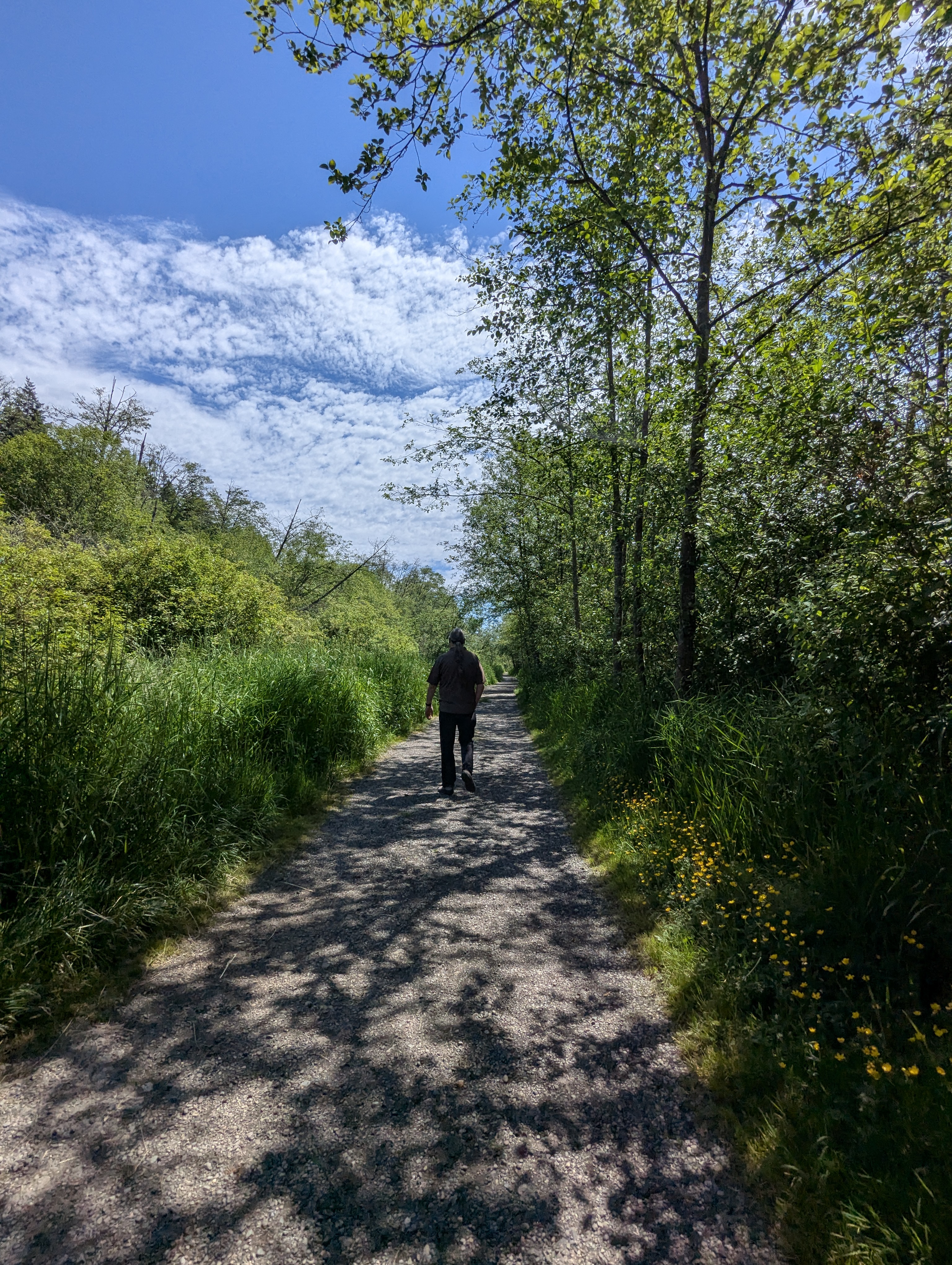 Birthday Trip to Canada, Delta, Burns Bog, Vancouver, British Columbia